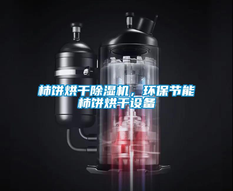 柿餅烘干除濕機，環(huán)保節(jié)能柿餅烘干設(shè)備