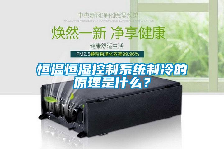 恒溫恒濕控制系統(tǒng)制冷的原理是什么？