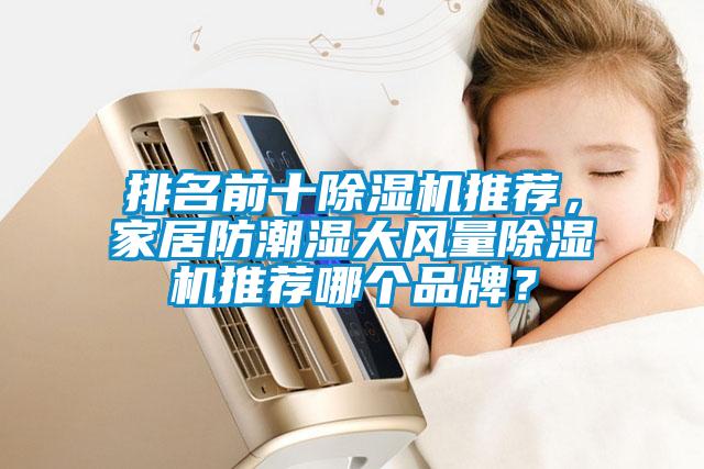 排名前十除濕機(jī)推薦，家居防潮濕大風(fēng)量除濕機(jī)推薦哪個(gè)品牌？