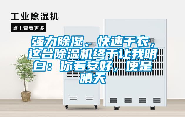 強力除濕、快速干衣，這臺除濕機終于讓我明白：你若安好，便是晴天