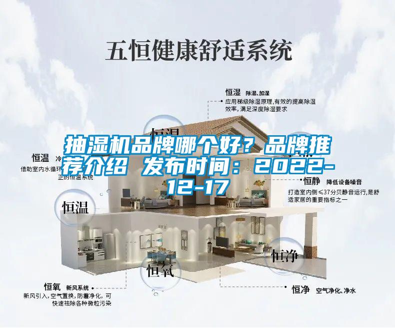 抽濕機(jī)品牌哪個(gè)好？品牌推薦介紹 發(fā)布時(shí)間：2022-12-17