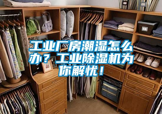 工業(yè)廠房潮濕怎么辦？工業(yè)除濕機(jī)為你解憂！