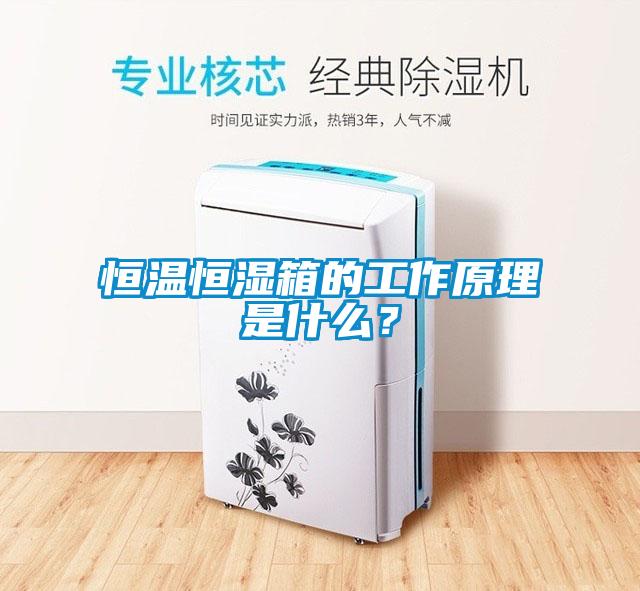 恒溫恒濕箱的工作原理是什么？