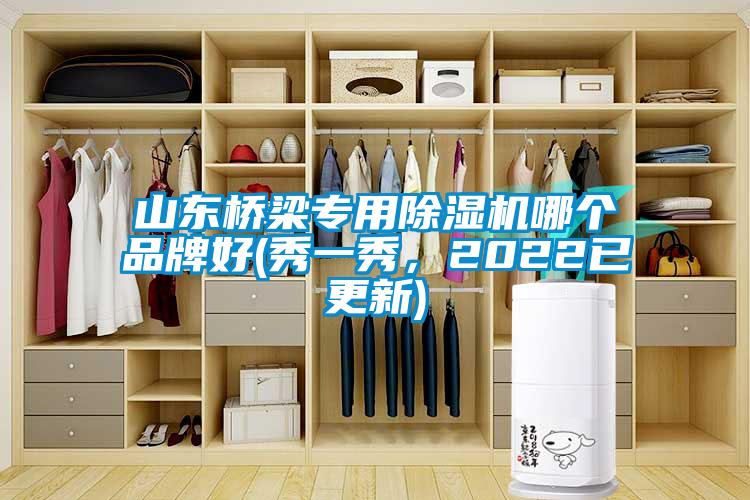 山東橋梁專(zhuān)用除濕機(jī)哪個(gè)品牌好(秀一秀，2022已更新)