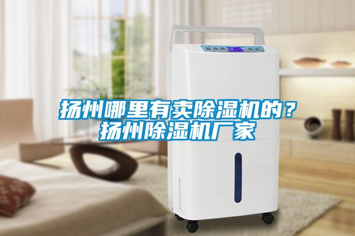 揚(yáng)州哪里有賣除濕機(jī)的？揚(yáng)州除濕機(jī)廠家