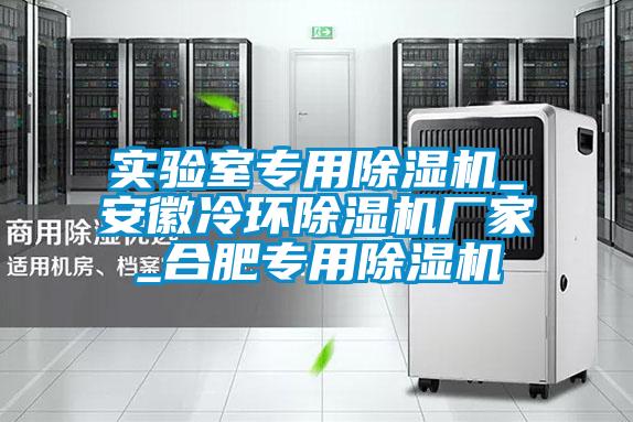 實驗室專用除濕機(jī)_安徽冷環(huán)除濕機(jī)廠家_合肥專用除濕機(jī)