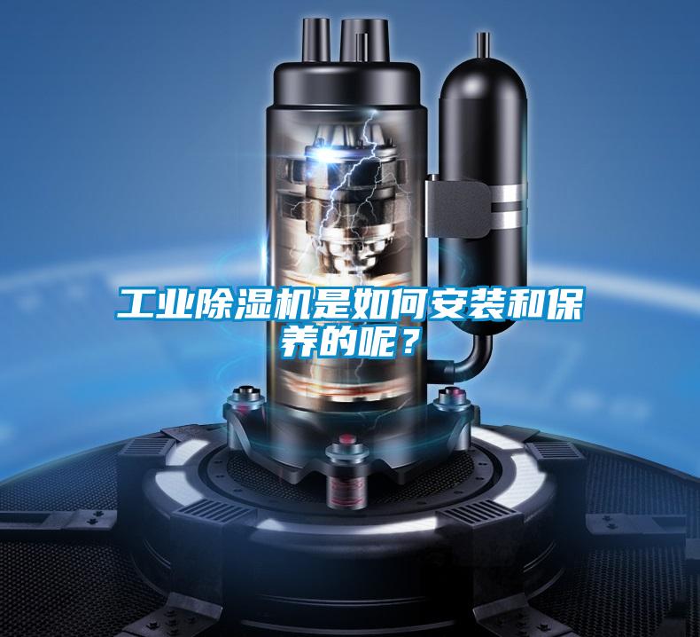 工業(yè)除濕機(jī)是如何安裝和保養(yǎng)的呢？