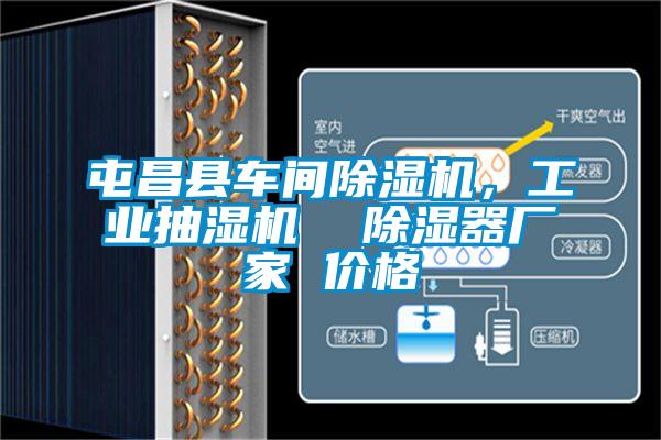 屯昌縣車間除濕機(jī)，工業(yè)抽濕機(jī)  除濕器廠家 價格