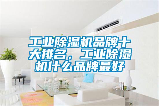 工業(yè)除濕機(jī)品牌十大排名，工業(yè)除濕機(jī)什么品牌最好
