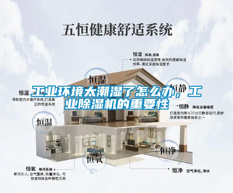 工業(yè)環(huán)境太潮濕了怎么辦，工業(yè)除濕機(jī)的重要性