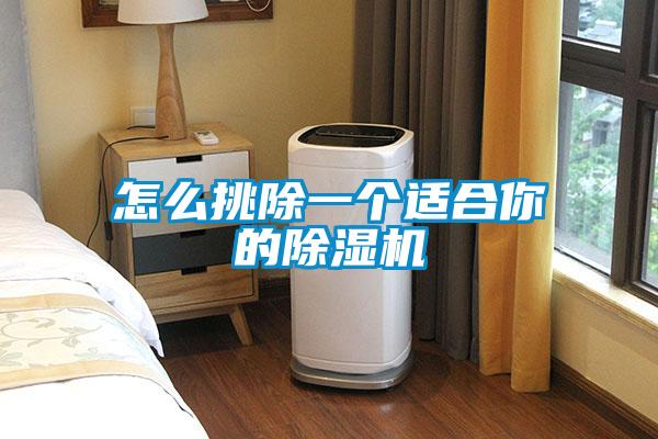怎么挑除一個適合你的除濕機(jī)