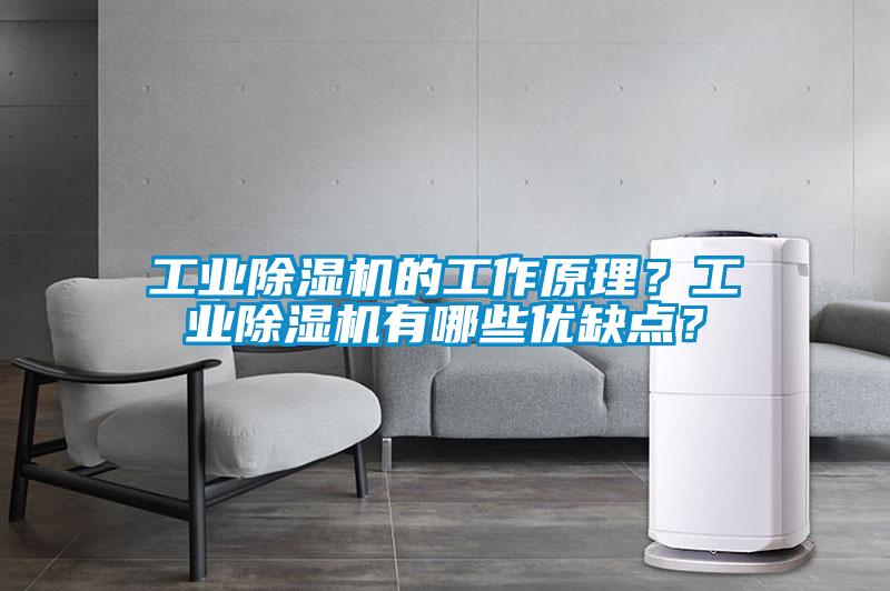 工業(yè)除濕機(jī)的工作原理？工業(yè)除濕機(jī)有哪些優(yōu)缺點(diǎn)？