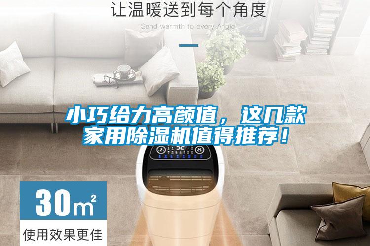 小巧給力高顏值，這幾款家用除濕機(jī)值得推薦！