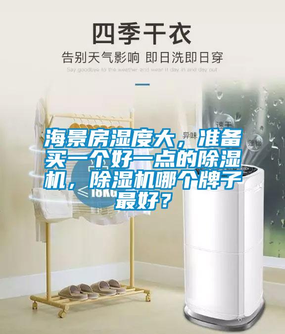 海景房濕度大，準(zhǔn)備買一個(gè)好一點(diǎn)的除濕機(jī)，除濕機(jī)哪個(gè)牌子最好？