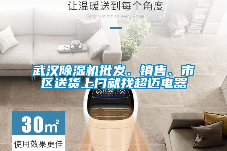 武漢除濕機(jī)批發(fā)、銷售、市區(qū)送貨上門就找超邁電器