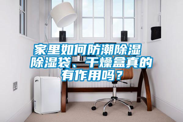 家里如何防潮除濕 除濕袋、干燥盒真的有作用嗎？