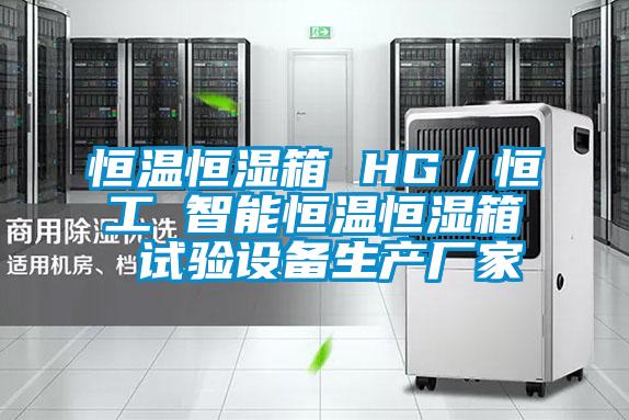 恒溫恒濕箱 HG／恒工 智能恒溫恒濕箱 試驗設備生產(chǎn)廠家