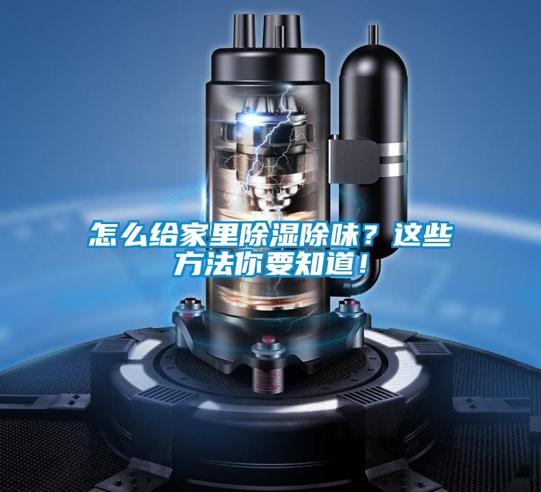 怎么給家里除濕除味？這些方法你要知道！
