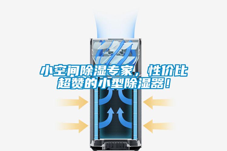 小空間除濕專家，性價比超贊的小型除濕器！