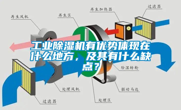 工業(yè)除濕機(jī)有優(yōu)勢(shì)體現(xiàn)在什么地方，及其有什么缺點(diǎn)？