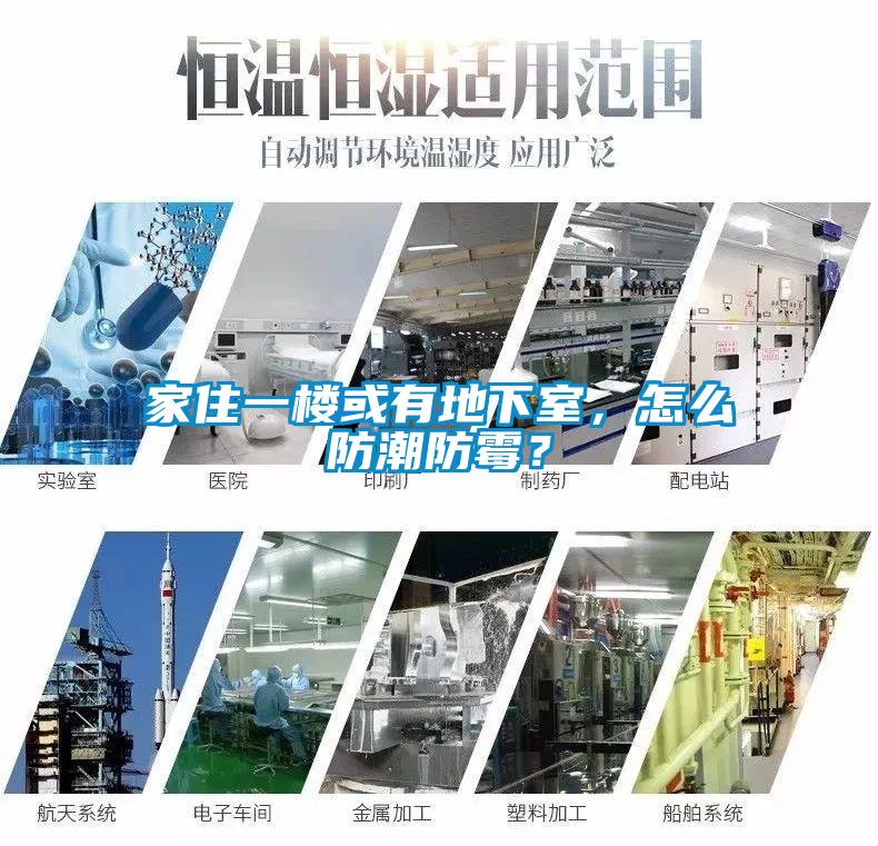 家住一樓或有地下室，怎么防潮防霉？