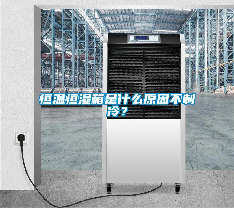 恒溫恒濕箱是什么原因不制冷？
