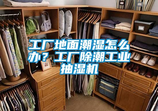 工廠地面潮濕怎么辦？工廠除潮工業(yè)抽濕機