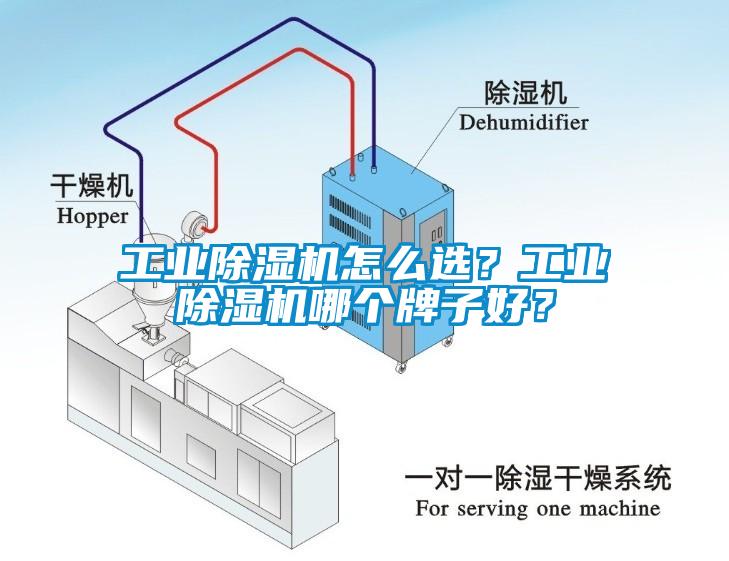 工業(yè)除濕機怎么選？工業(yè)除濕機哪個牌子好？