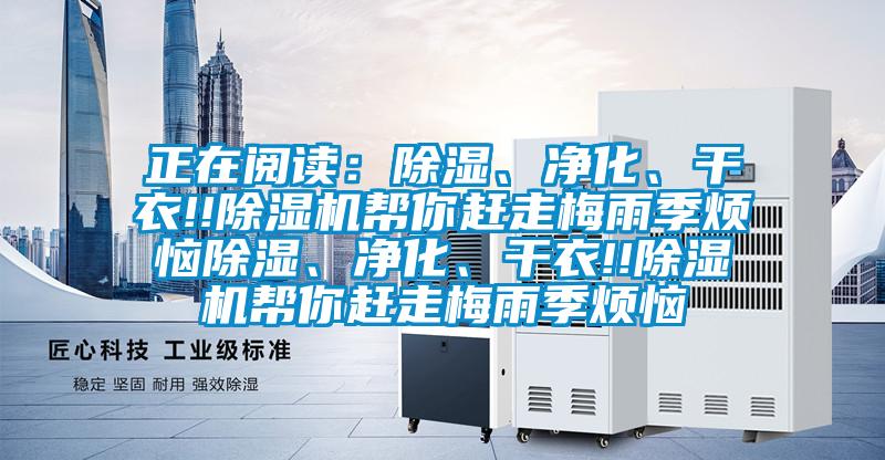 正在閱讀：除濕、凈化、干衣!!除濕機幫你趕走梅雨季煩惱除濕、凈化、干衣!!除濕機幫你趕走梅雨季煩惱