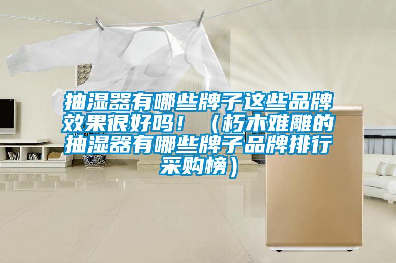 抽濕器有哪些牌子這些品牌效果很好嗎?。ㄐ嗄倦y雕的抽濕器有哪些牌子品牌排行采購榜）