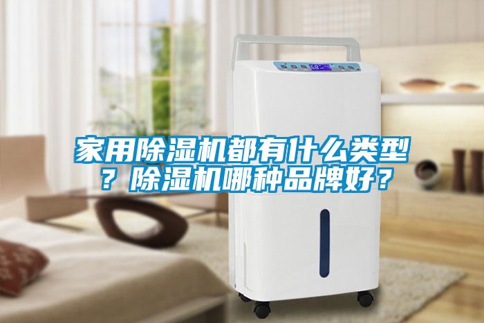 家用除濕機都有什么類型？除濕機哪種品牌好？