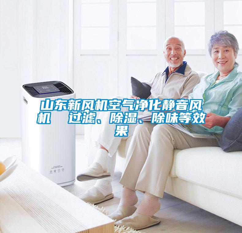 山東新風(fēng)機(jī)空氣凈化靜音風(fēng)機(jī)  過(guò)濾、除濕、除味等效果