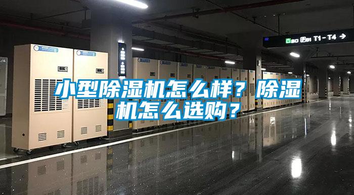 小型除濕機怎么樣？除濕機怎么選購？