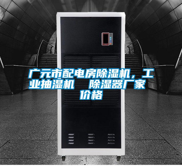 廣元市配電房除濕機，工業(yè)抽濕機  除濕器廠家 價格