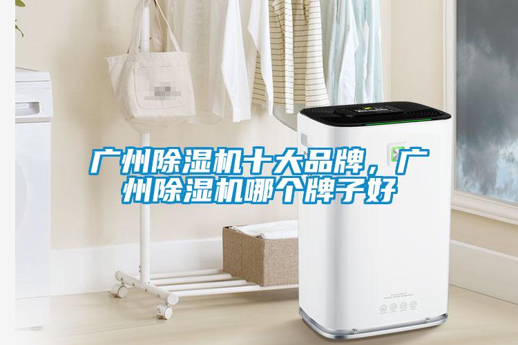 廣州除濕機(jī)十大品牌，廣州除濕機(jī)哪個(gè)牌子好