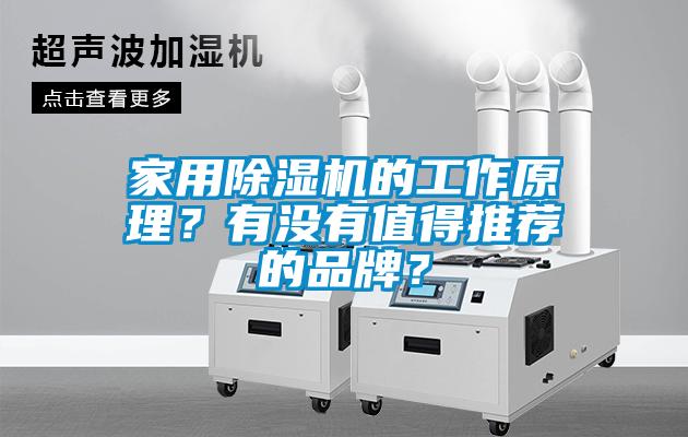 家用除濕機(jī)的工作原理？有沒有值得推薦的品牌？
