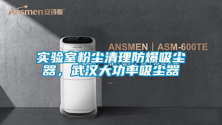 實(shí)驗(yàn)室粉塵清理防爆吸塵器，武漢大功率吸塵器
