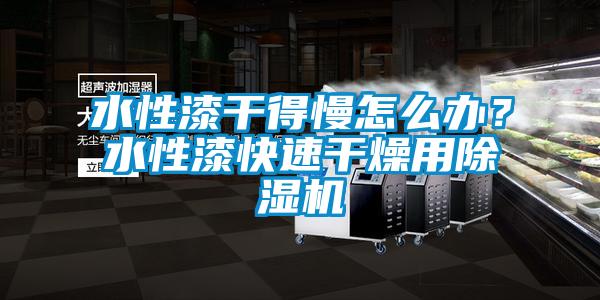 水性漆干得慢怎么辦？水性漆快速干燥用除濕機