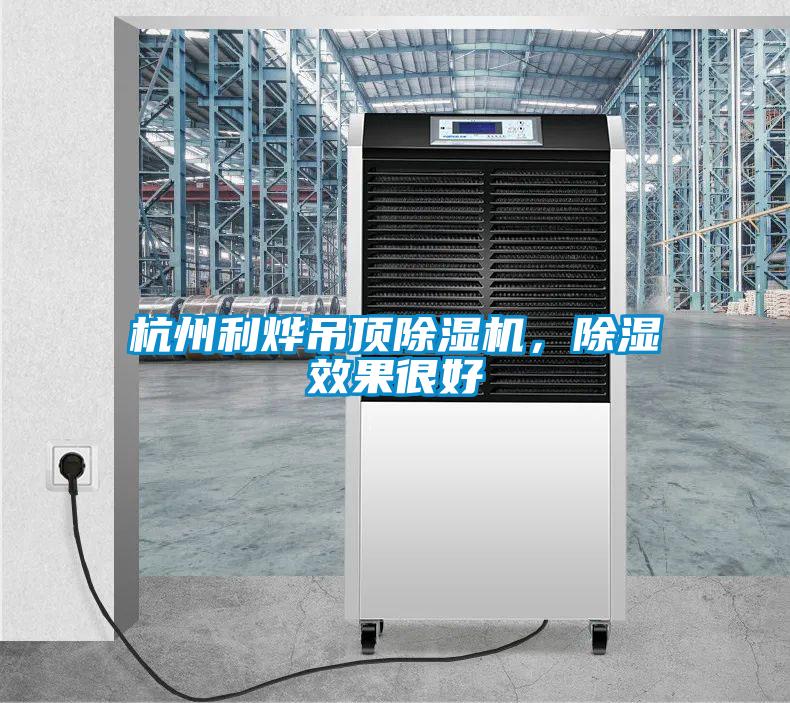 杭州利燁吊頂除濕機(jī)，除濕效果很好