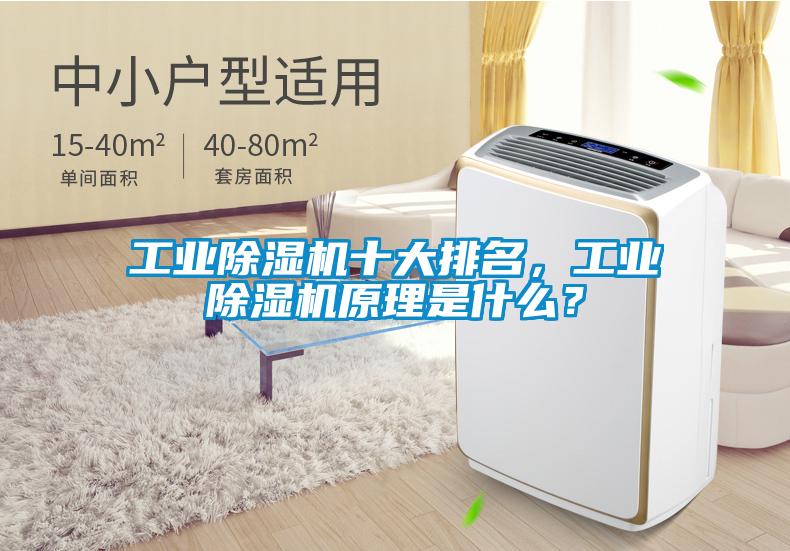 工業(yè)除濕機(jī)十大排名，工業(yè)除濕機(jī)原理是什么？