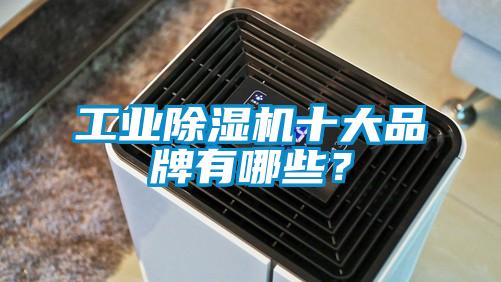工業(yè)除濕機十大品牌有哪些？