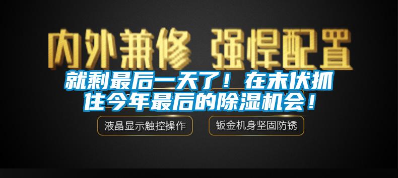 就剩最后一天了！在末伏抓住今年最后的除濕機(jī)會(huì)！