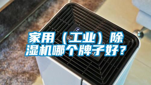 家用（工業(yè)）除濕機哪個牌子好？