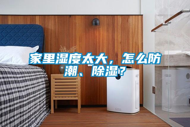 家里濕度太大，怎么防潮、除濕？