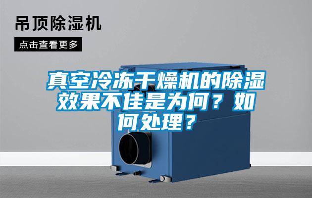 真空冷凍干燥機的除濕效果不佳是為何？如何處理？
