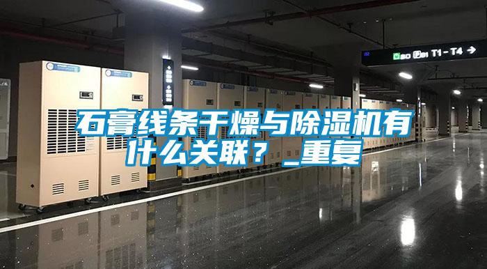 石膏線條干燥與除濕機有什么關(guān)聯(lián)？_重復(fù)