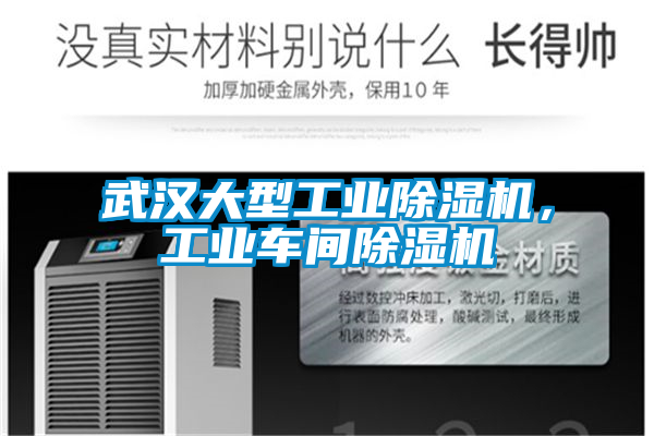 武漢大型工業(yè)除濕機(jī)，工業(yè)車(chē)間除濕機(jī)