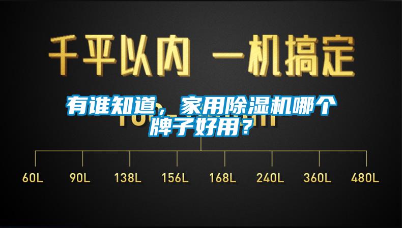 有誰知道，家用除濕機哪個牌子好用？