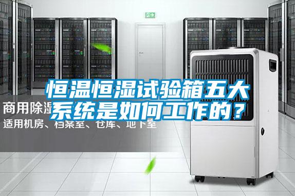 恒溫恒濕試驗(yàn)箱五大系統(tǒng)是如何工作的？