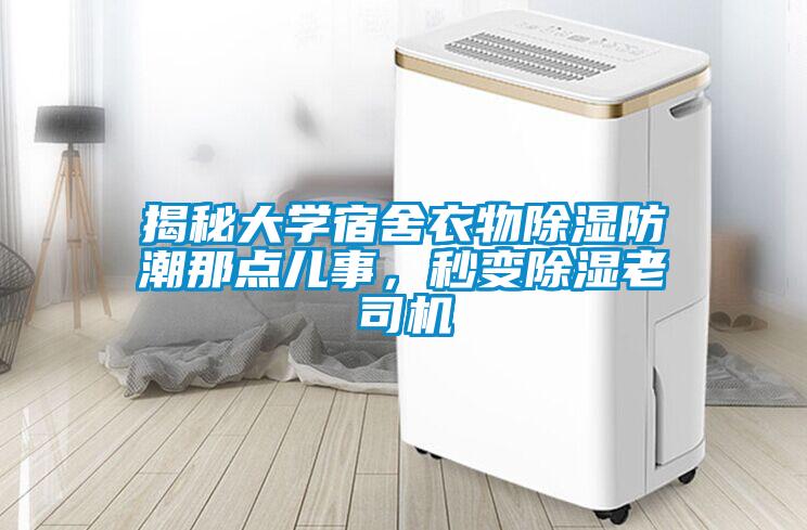 揭秘大學(xué)宿舍衣物除濕防潮那點(diǎn)兒事，秒變除濕老司機(jī)